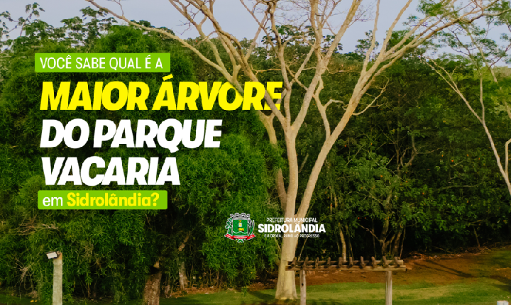 Angico Branco do Parque Vacaria encanta visitantes e reforça importância ambiental