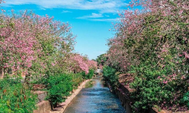 Campo Grande implementa modelo de cidade esponja para enfrentar alagamentos