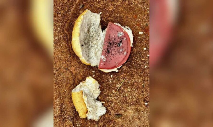 Ex-padrasto usou chumbinho em pão com mortadela para envenenar jovem