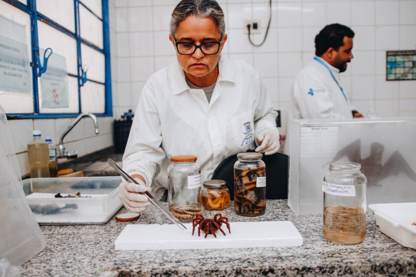 Além do atendimento médico, SUS tem papel amplo na vida dos brasileiros