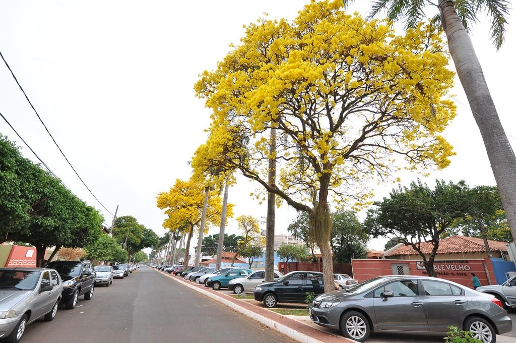 Defesa Civil alerta para calor extremo, chuvas irregulares e risco de tempestades
