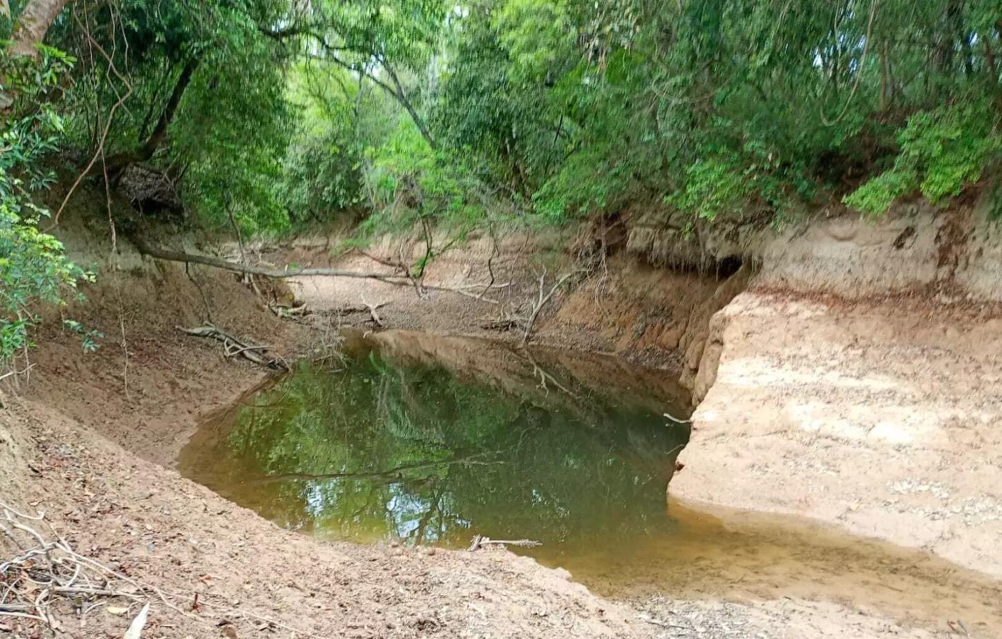 Seca no Rio da Prata ameaça fauna aquática em MS