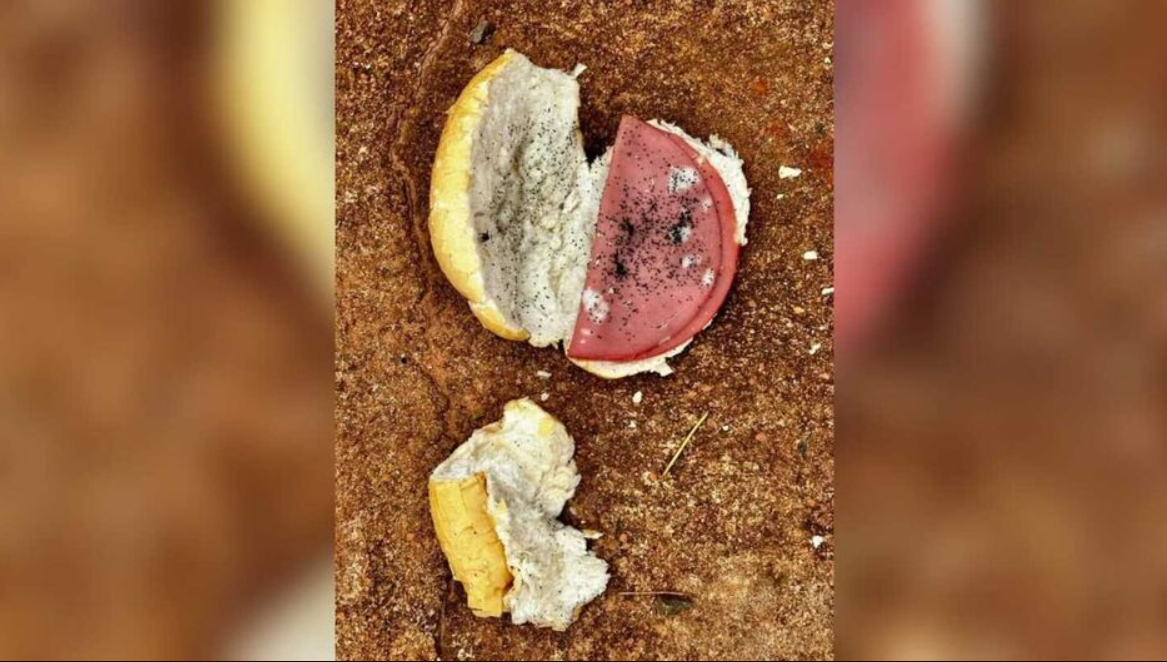 Ex-padrasto usou chumbinho em pão com mortadela para envenenar jovem