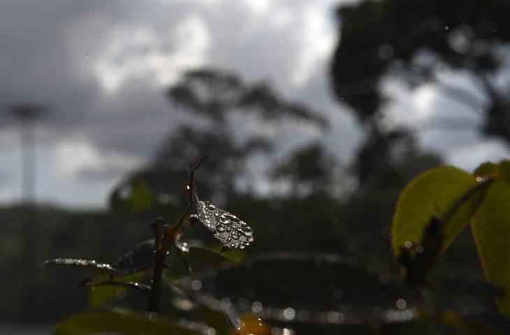 MS terá sexta-feira de sol forte, mas com chance de tempestades no Pantanal e Sudoeste