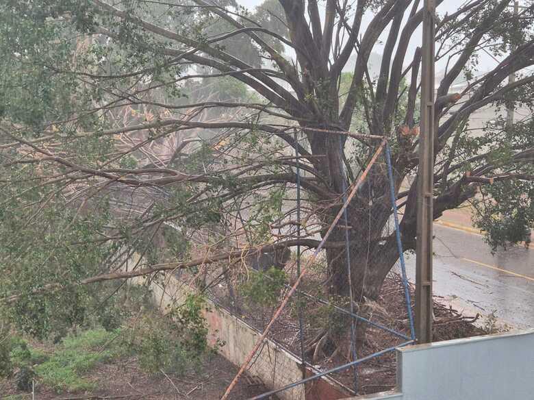 Temporal causa estragos e deixa bairros sem energia em Campo Grande