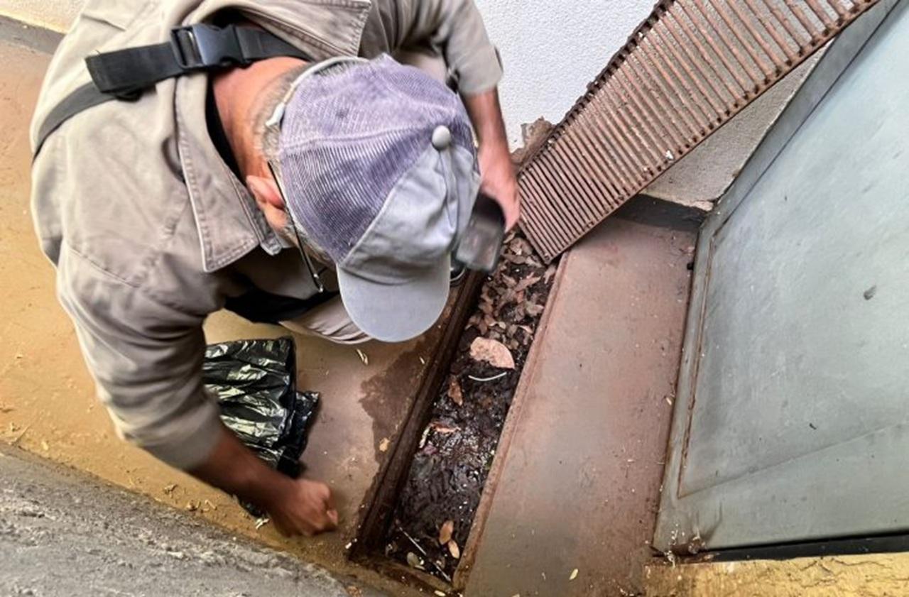 MS mantém cenário estável nos casos de dengue