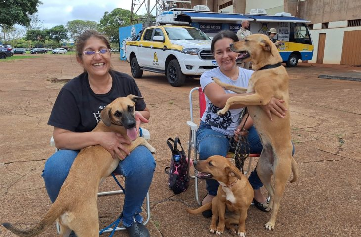 Caravana da Castração retorna na próxima quinta-feira em Eldorado