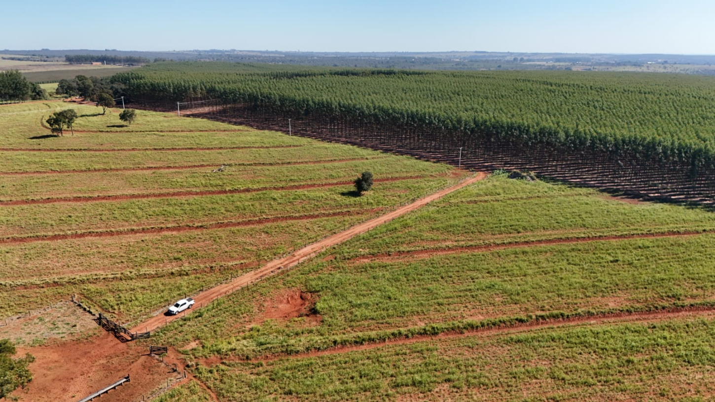 Prefeitura de Campo Grande promove Workshop Logística Florestal 360° na sexta-feira (16)
