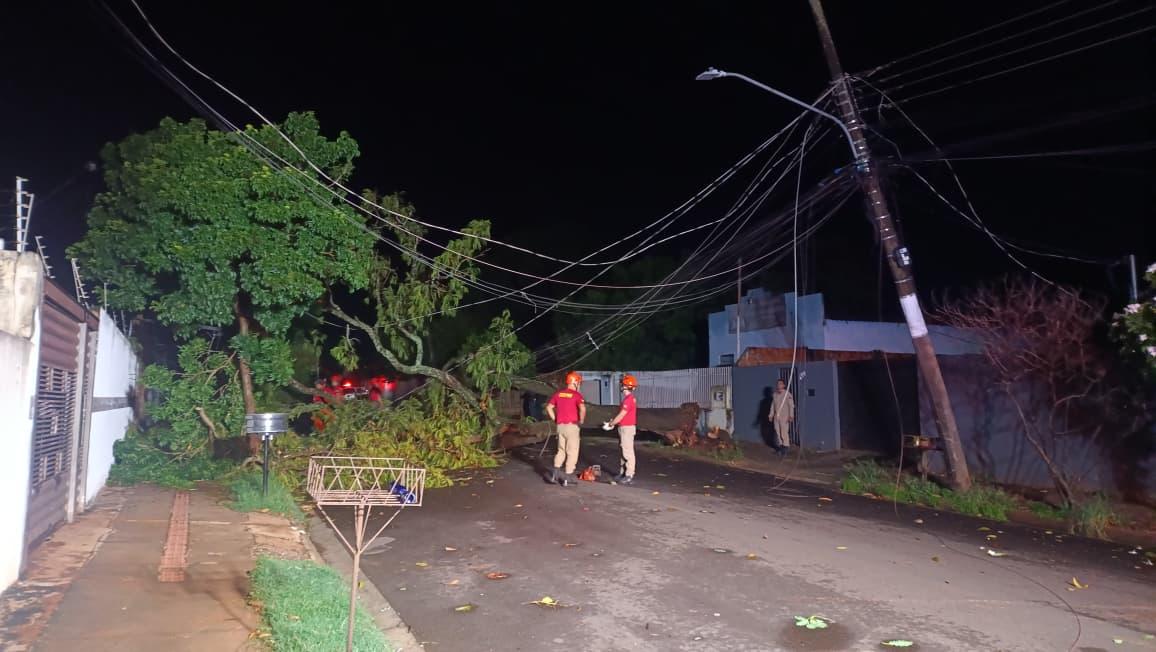 Queda de árvore deixa região do Nova Lima sem luz em pleno sábado à noite