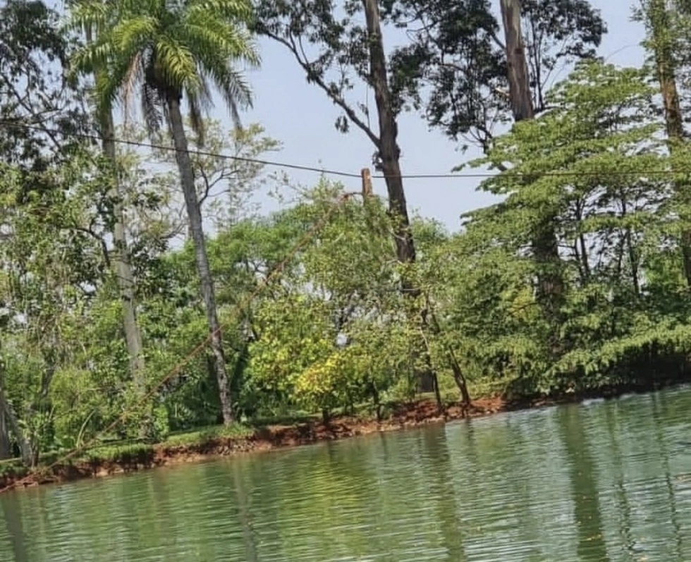 Tirolesa em que ocorreu o acidente. Foto: Jardim MS News