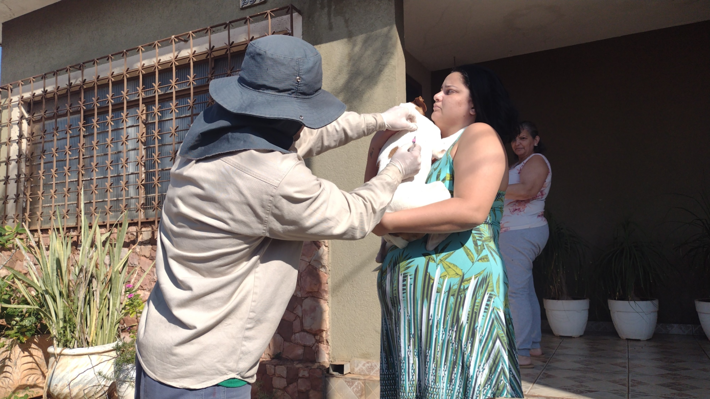 Quatro bairros recebem vacinação antirrábica nesta terça-feira (24) em Campo Grande