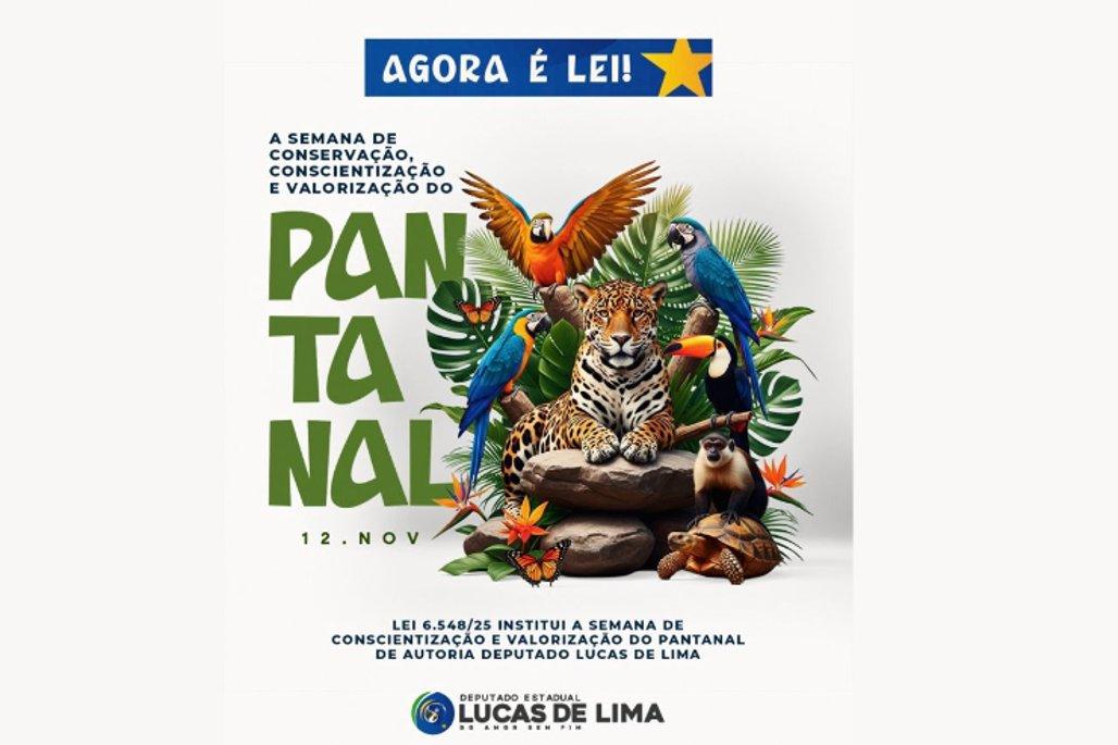 Projeto institui a Semana de Conscientização e Valorização do Pantanal no calendário oficial sul-mato-grossense