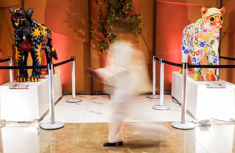 WWF leva a discussão sobre “Uma Só Saúde” à COP15