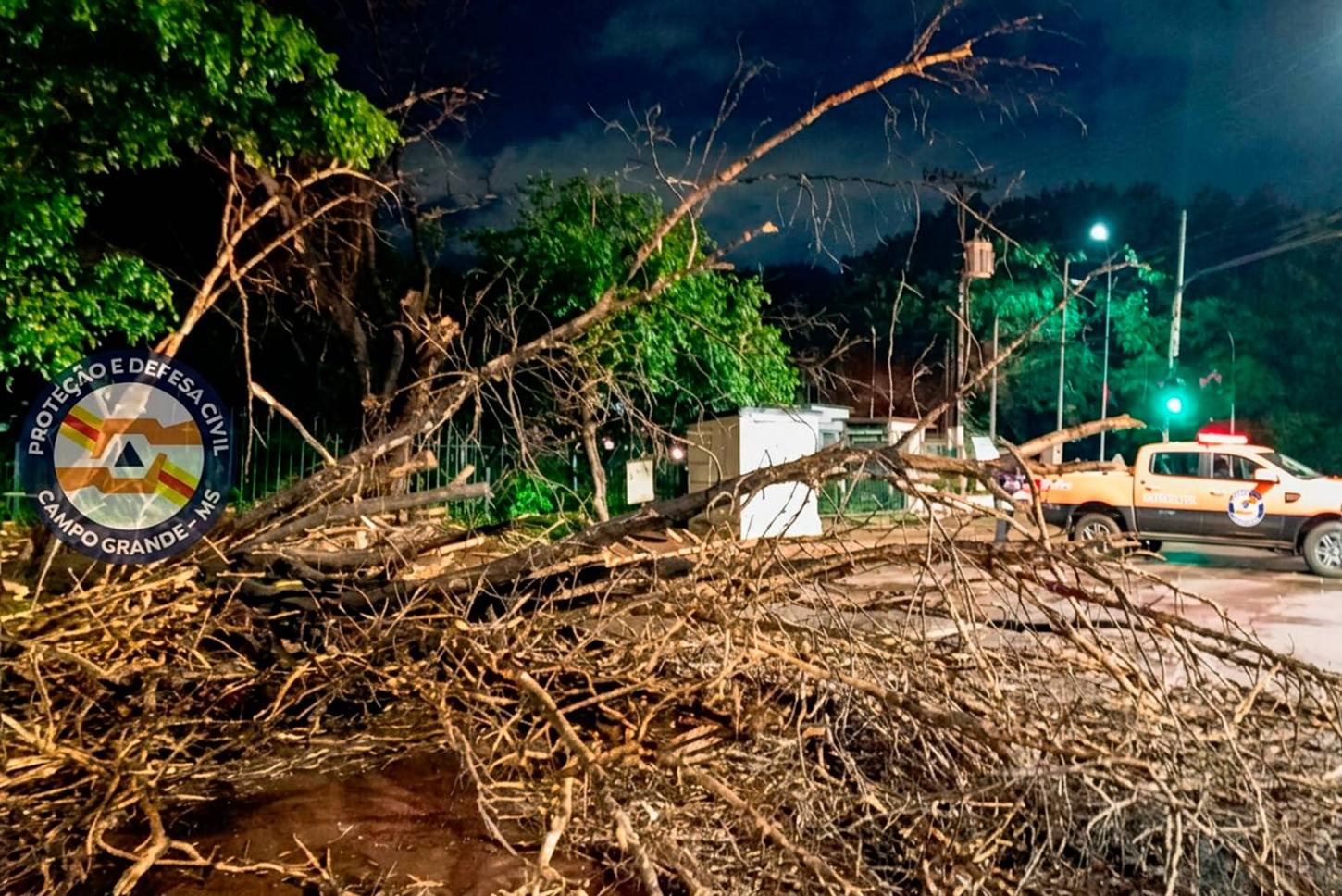 Defesa Civil atuou em 40 ocorrências em Campo Grande após último temporal, diz prefeitura