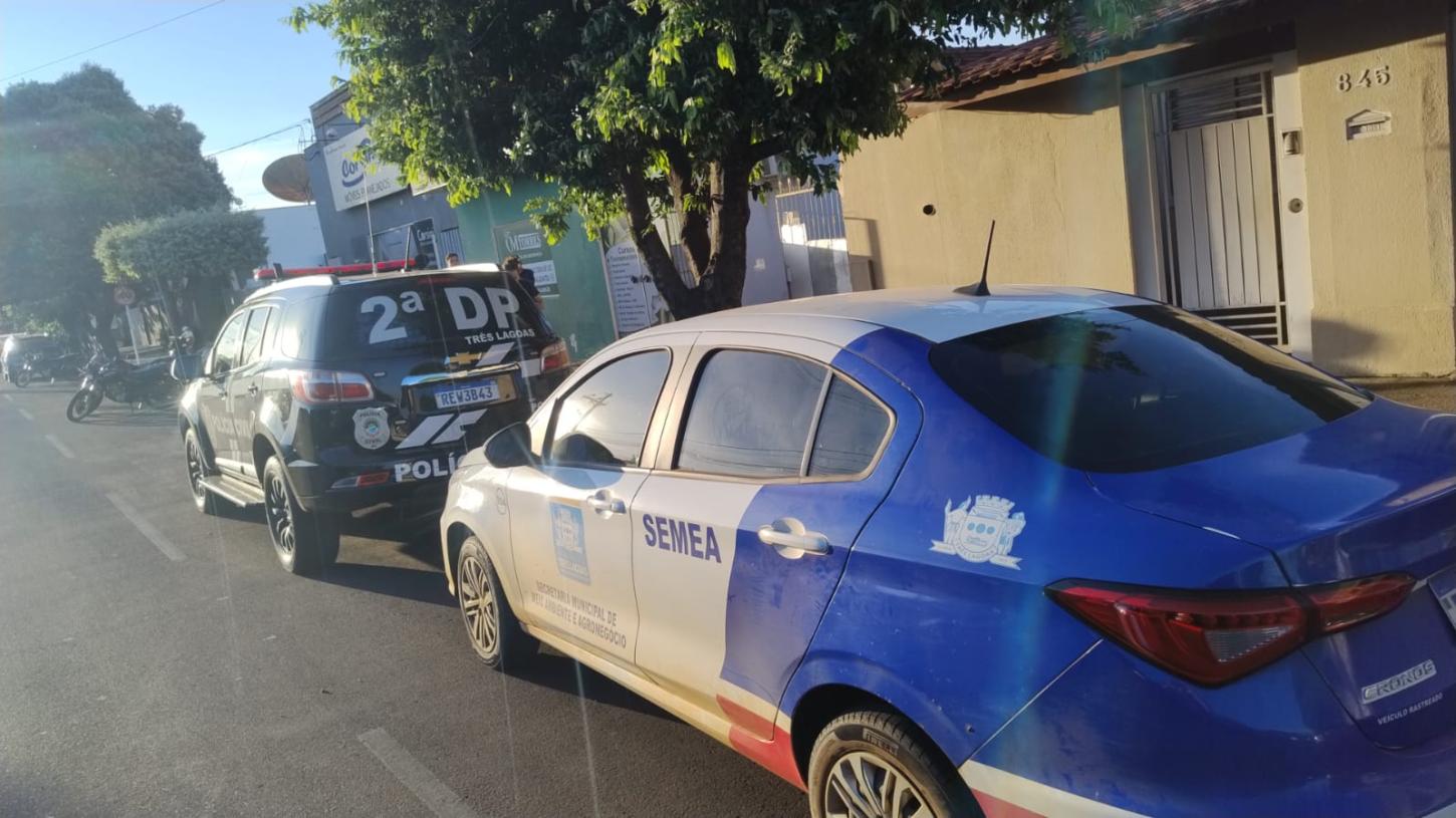 Mulher é presa por maus tratos a animais em Três Lagoas