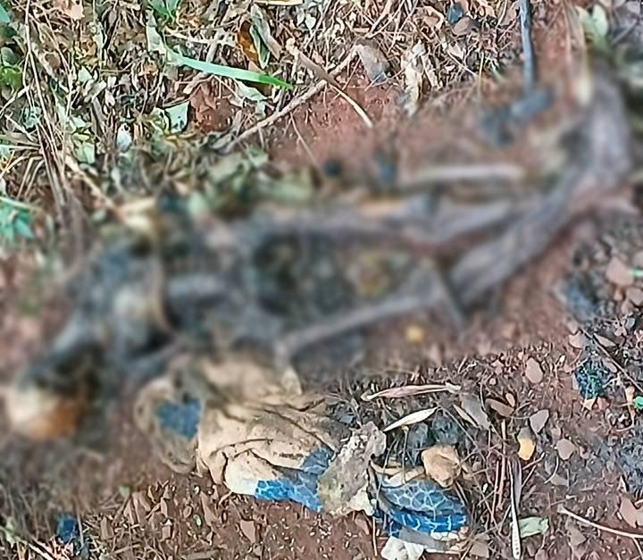 Ossada humana é encontrada próximo a trilho na Vila Bordon, região oeste de Campo Grande