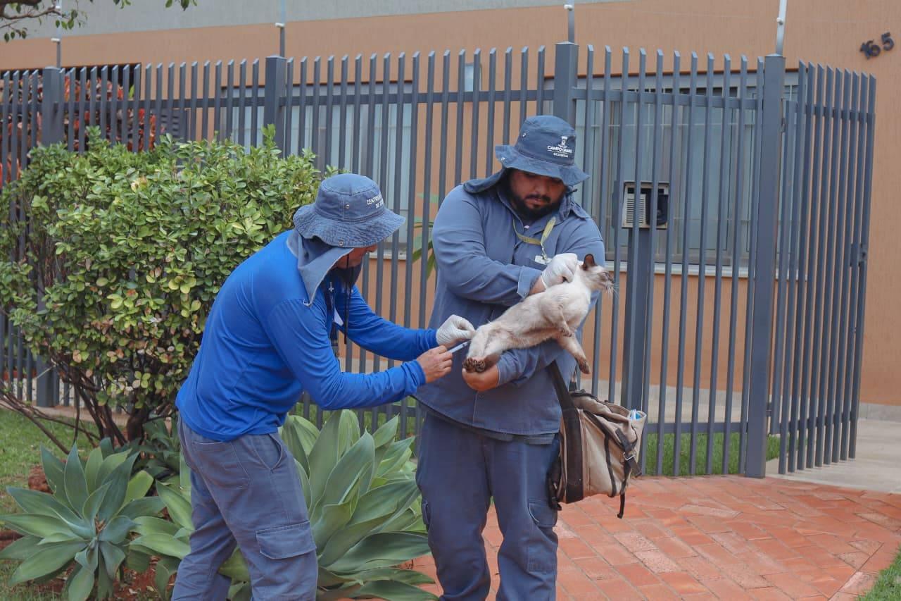 Prefeitura mobiliza agentes de saúde para realizar vacinação contra raiva em bairros de Campo Grande