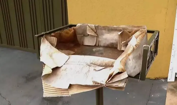 Bebê encontrado morto em lixeira choca Ponta Porã e mobiliza investigação