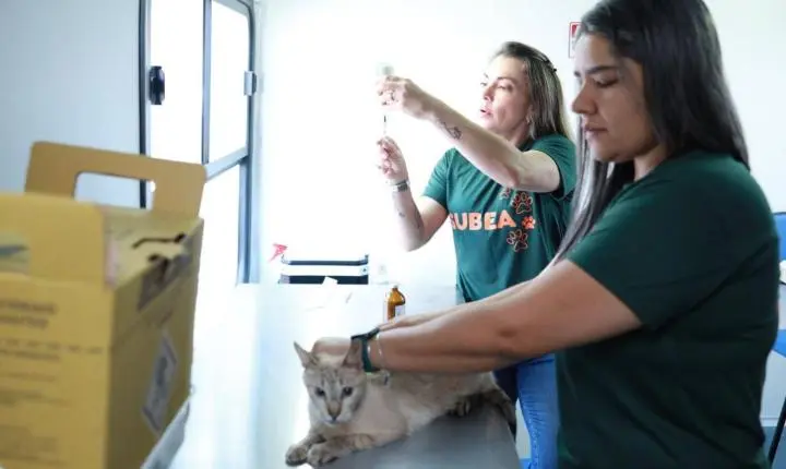 Consultório móvel atende cães e gatos entre hoje e sexta-feira em Campo Grande