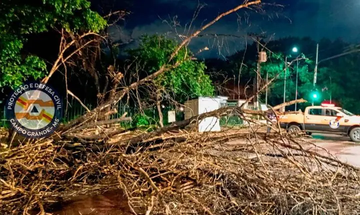 Defesa Civil atuou em 40 ocorrências em Campo Grande após último temporal, diz prefeitura