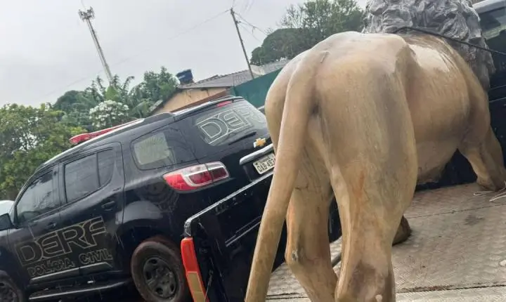 Polícia recupera estátua de leão furtada em hamburgueria de Campo Grande e prende suspeito