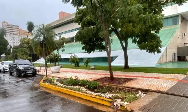 Prefeitura inaugura primeiro jardim de chuva e anuncia novo modelo de drenagem sustentável em Campo Grande